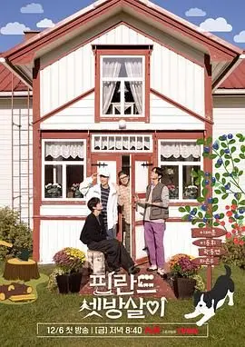 芬兰租房生活 海报